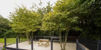 Rainbows decking